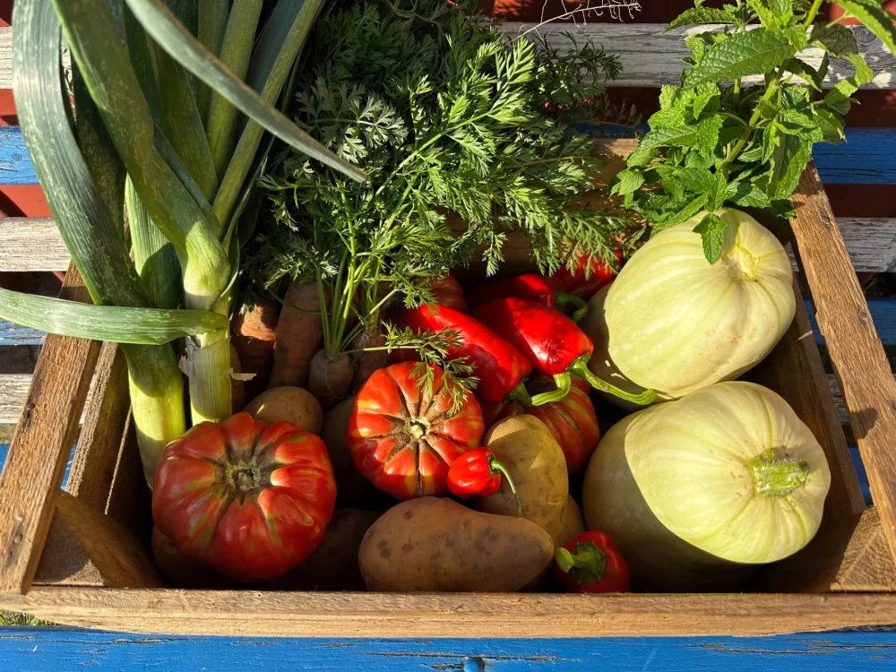 Farma a zelenina