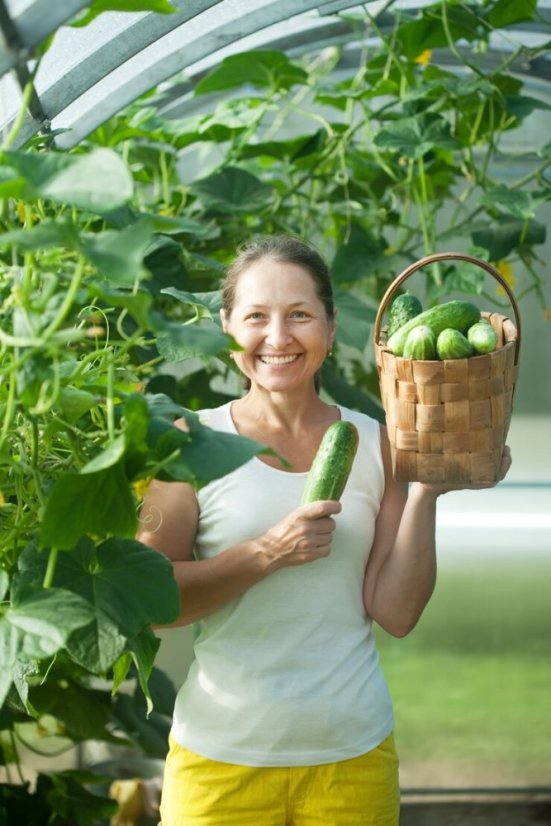 Organické hmyzí NPK hnojivo FRASSiO s chitinem 10kg