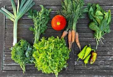 Gemüsegarten anlegen: Diese Sorten sind perfekt für Anfänger