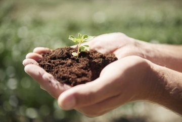 Was ist Chitinase – und wie hängt sie mit Chitin zusammen?