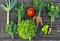 Gemüsegarten anlegen: Diese Sorten sind perfekt für Anfänger