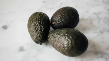 Pěstování avokáda: Jak na to?