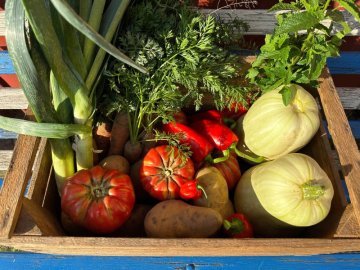 Bio-Gemüse im Garten: So klappt’s ohne Chemie